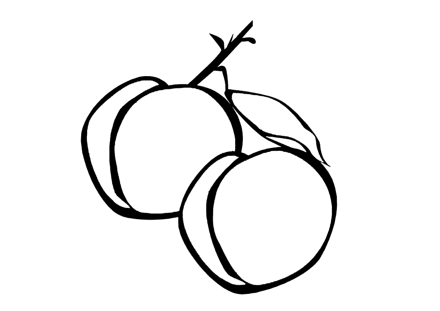 Coloring page Apricot Print